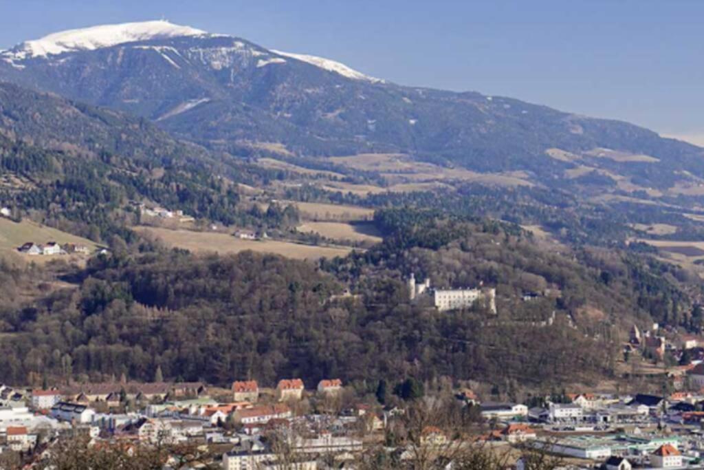 Cozy Condo close to town, castle, lake&hiking Wolfsberg Zewnętrze zdjęcie